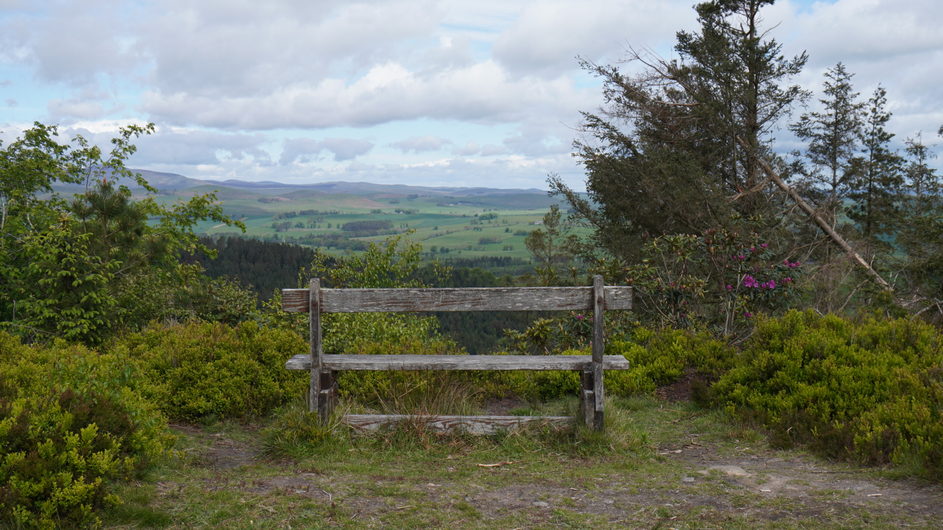 Viewpoint over the Cheviot hills