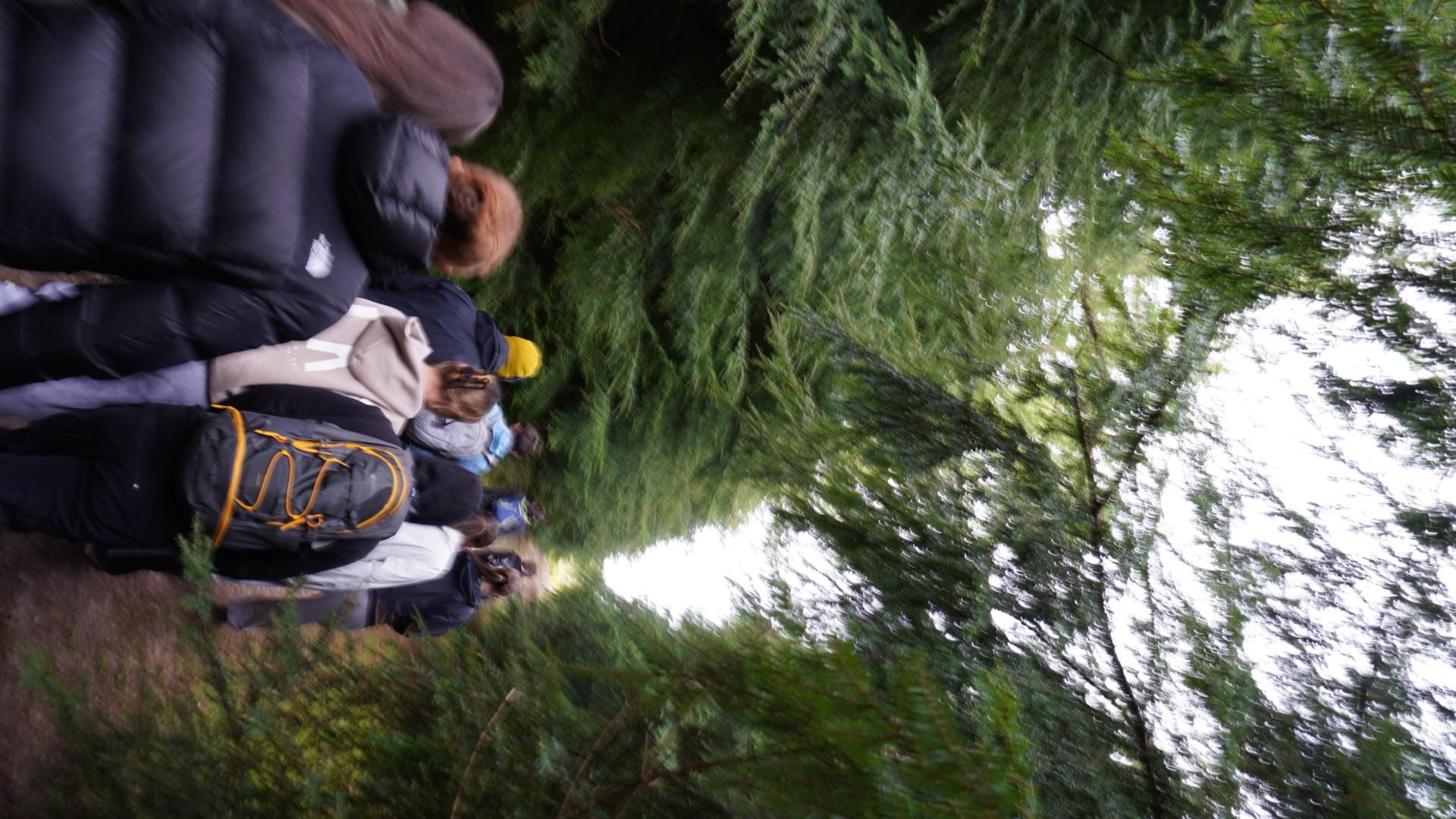 The group walking through forest